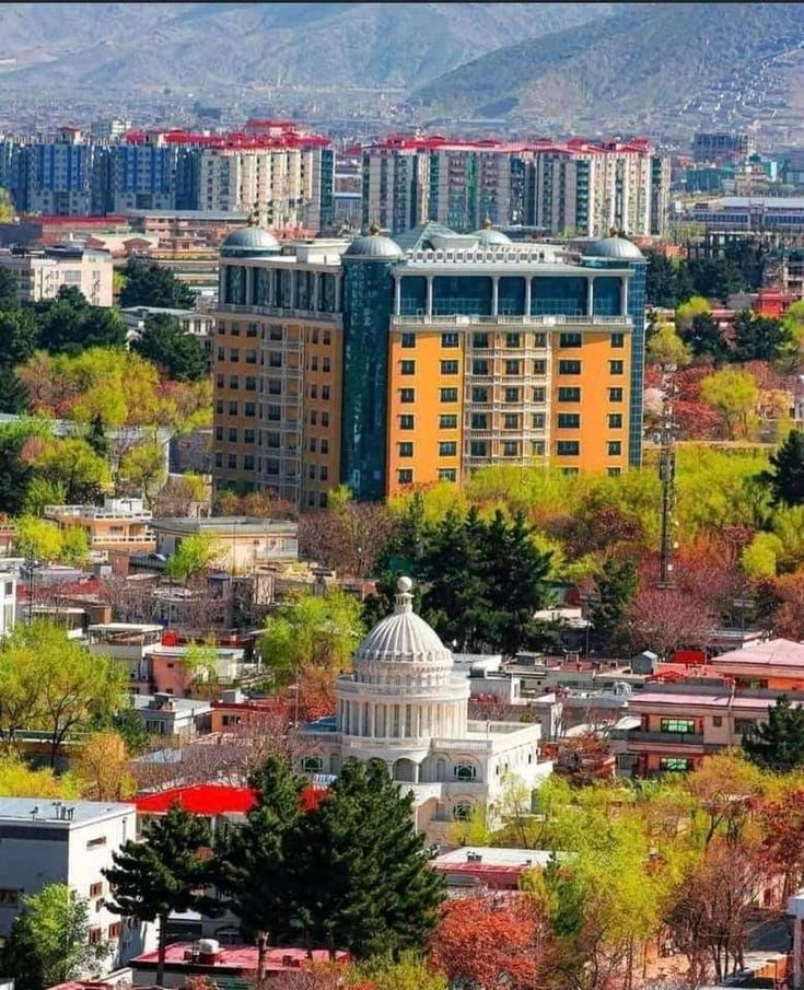 Kabul Accused of Pushing Fighters Into TTP Amid Rising Terror in Pakistan