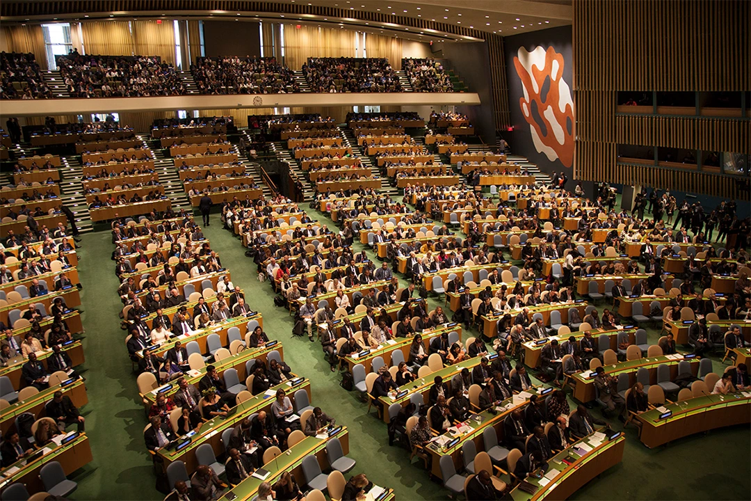 Pakistan to Present Peace Development and Human Rights at 80th UNGA Session
