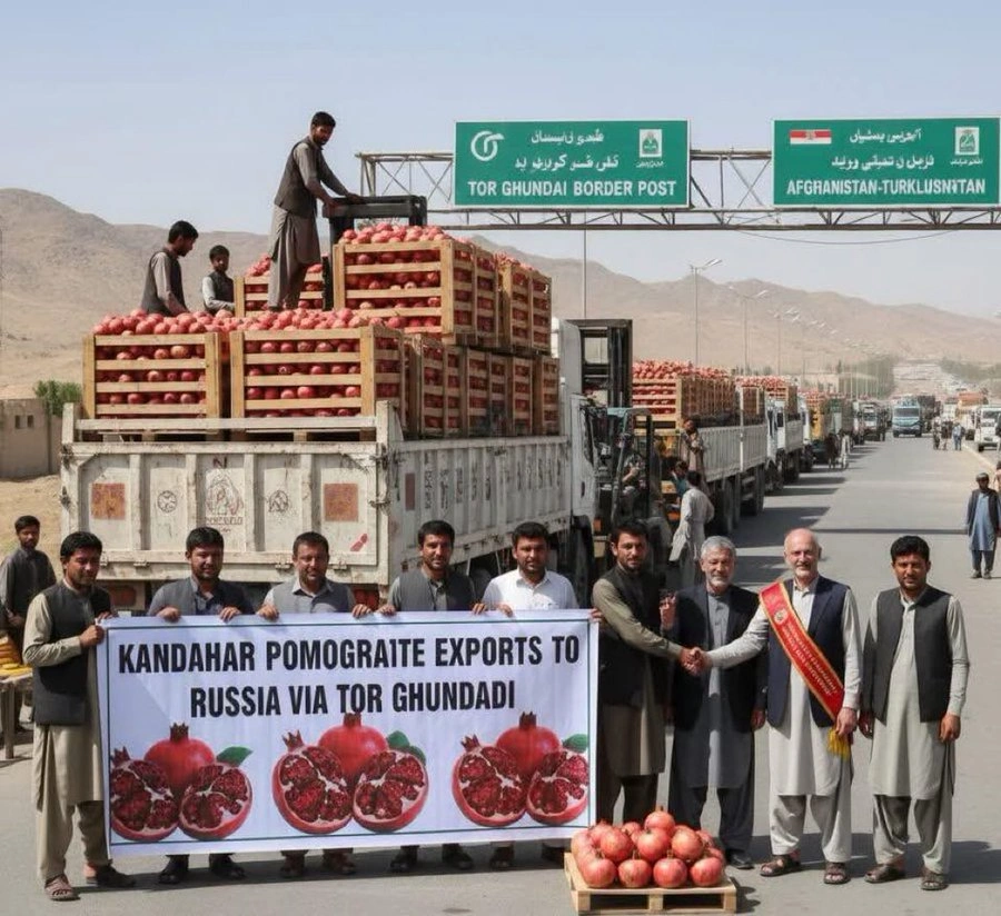Taliban Announces First Pomegranate Shipment to Russia Amid Ongoing Istanbul Stalemate