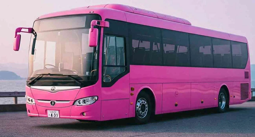 Sharjeel Memon Launches Women-Only Pink Buses on Karachi’s Green Line