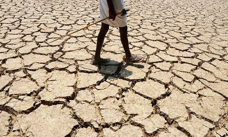 Balochistan Faces Severe Drought and Water Crisis, Agriculture at Risk