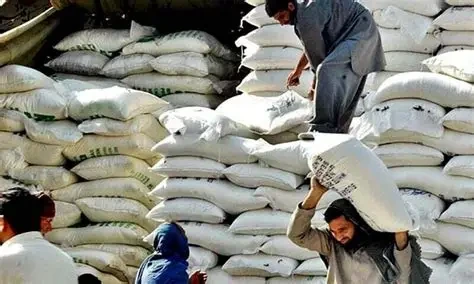 KP has warned of damaged wheat seeds