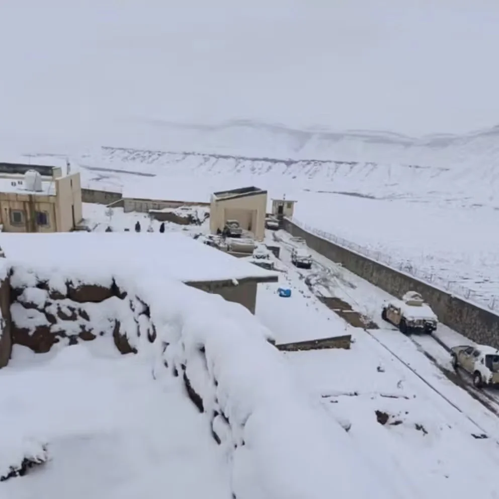 30 Dead as Afghan Refugees Face Harsh Conditions at the Border