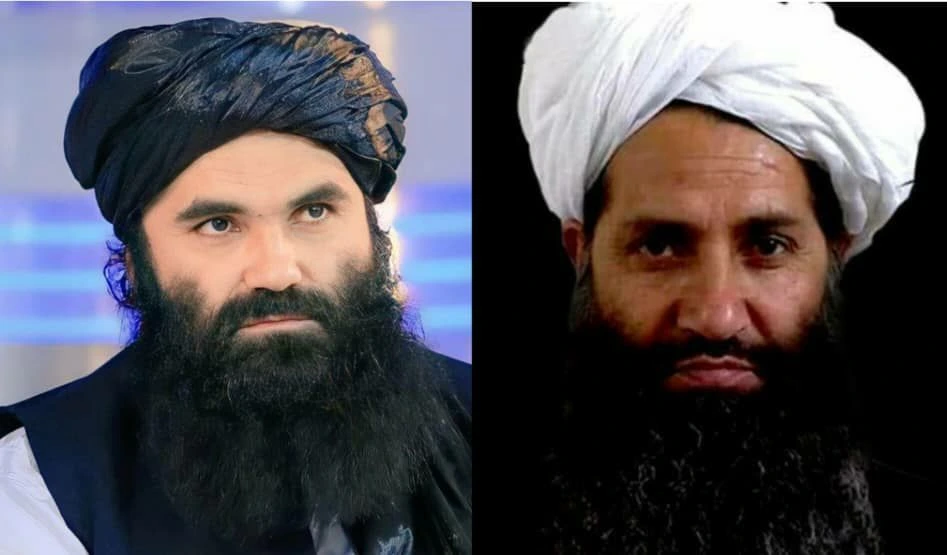 Taliban Control, Narcotics, and Terror Continuation: UN Releases Eye-Opening Report on Afghanistan