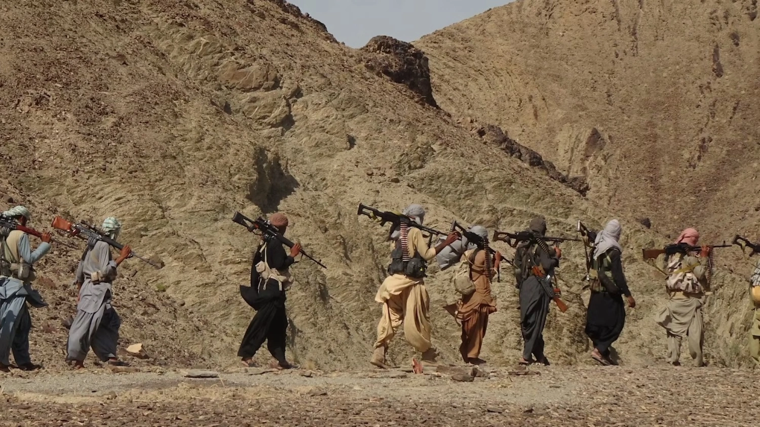 TTP militants in South Asia