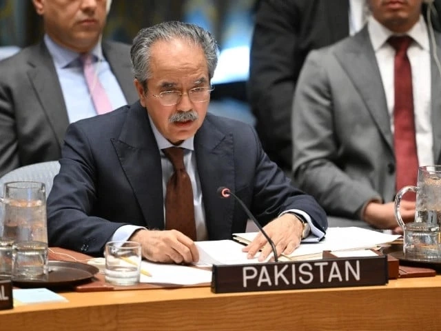 UN Security Council discusses Taliban terror sanctuaries