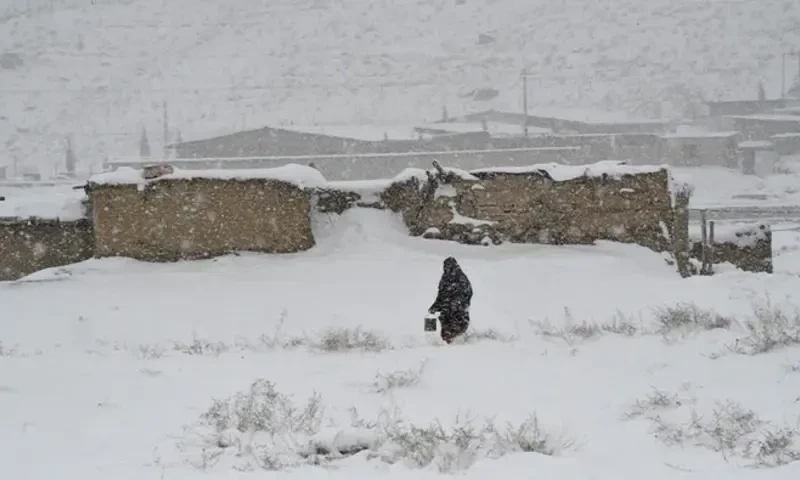 Afghan militant death near Bajaur Kunar border