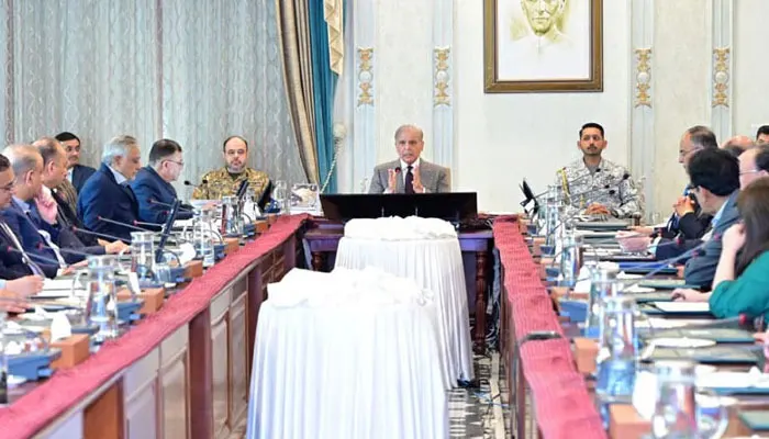 Pakistan diplomatic role