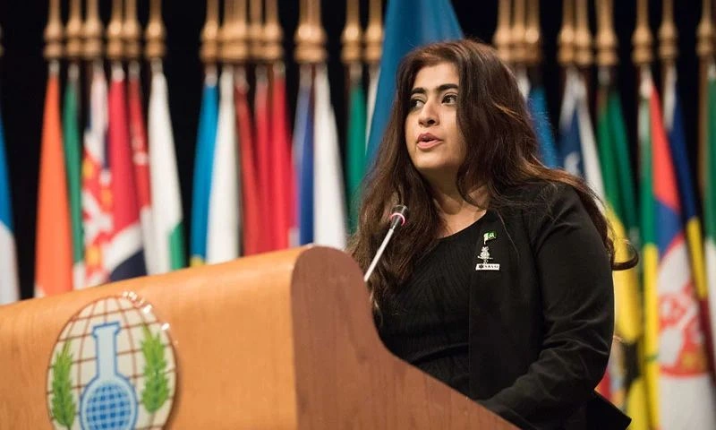 Dr Maria Sultan Afghanistan warning