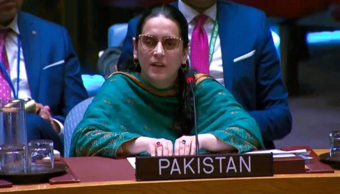 Pakistan statement at UN Security Council on TTP and BLA